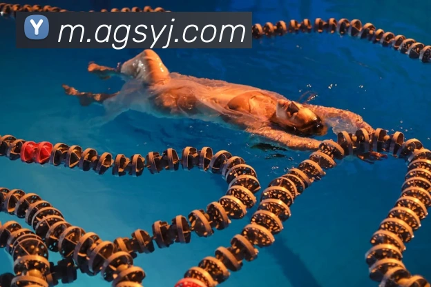 ag官网服务体系